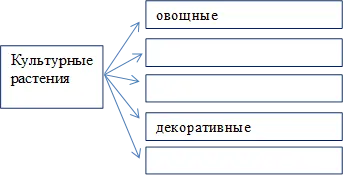 овощные,декоративные,Культурные
растения