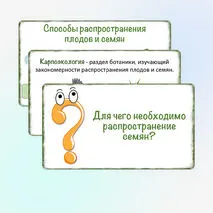 Презентация «Распространение плодов и семян в природе», 6 класс