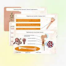Презентация 