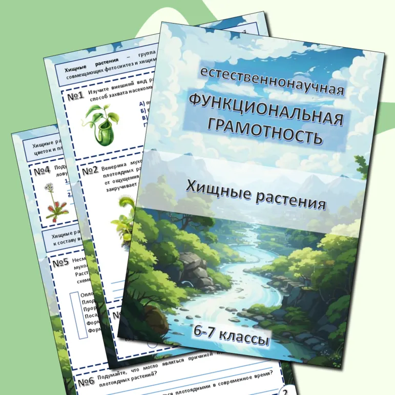 Рабочий лист по Функциональной грамотности: 