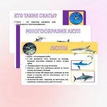 Презентация «Хрящевые и костные рыбы». Биология 8 класс.