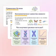 Презентация 
