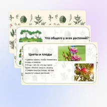 Презентация «Что мы знаем о растениях? Что общего у разных растений?» по окружающему миру, 1 класс