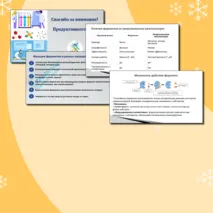 Презентация по биологии. 10 класс. Тема: «Ферменты – биологические катализаторы».