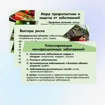 Презентация к уроку ОБЗР «Профилактика неинфекционных заболеваний». 9 класс.