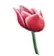 https://encrypted-tbn3.gstatic.com/images?q=tbn:ANd9GcT1J2ajGctLMAD78Q0Ki9oiXOUvDLPf_zSV9tE8s_964qb9FEMYdg
