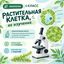 Презентация + рабочий лист «Растительная клетка, её изучение»