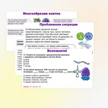 Презентация по биологии (10 класс) «История и методы изучения клетки. Клеточная теория» (В.В. Пасечник)