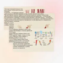 Презентация 