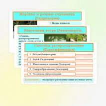 Презентация «Распространение плодов и семян в природе» 6 класс