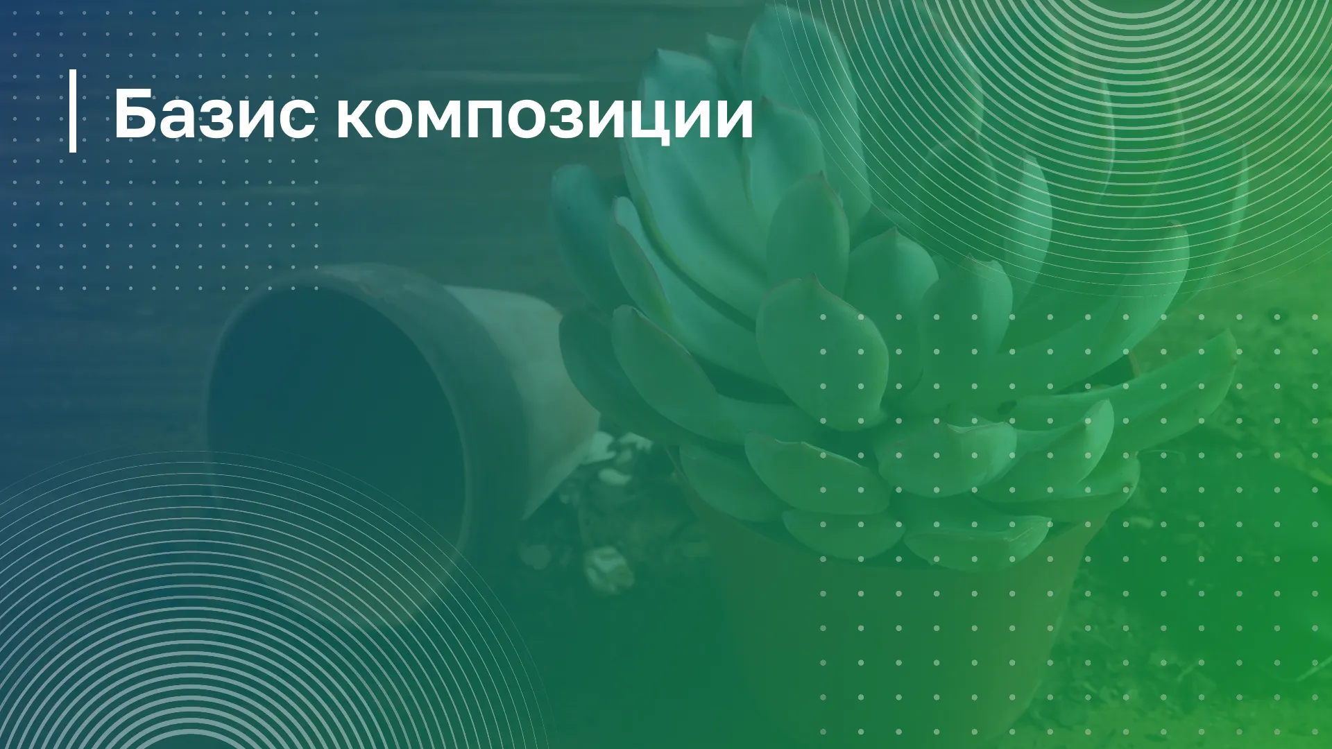 Обложка курса