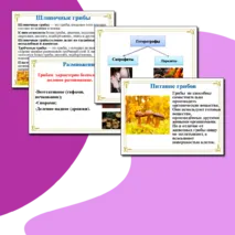 Презентация на тему 