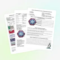 Лабораторная работа «Изучение строения растительных тканей»