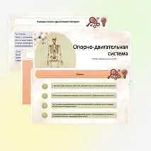 Презентация 