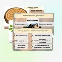 Презентация «Виды и свойства конструкционных материалов. Древесина. Практическая работа 