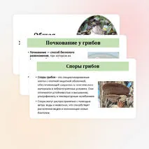 Презентация по биологии «Общая характеристика грибов» 7 класс