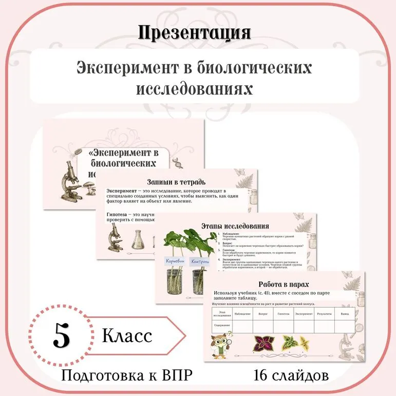 Презентация «Эксперимент в биологических исследованиях» 5 класс