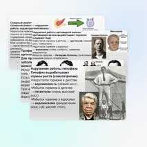 Презентация Нарушение деятельности эндокринных желез и их предупреждение