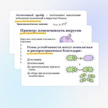 Презентация по биологии 