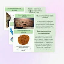 Презентация по биологии 