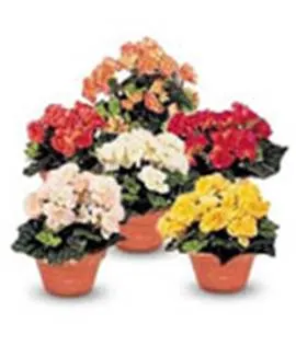 http://doshvozrast.ru/images/roditeli08/image004.jpg