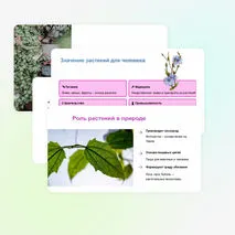 Презентация: 