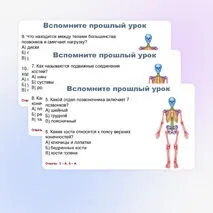 Презентация по биологии (9 класс) 