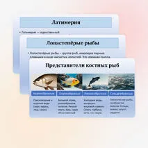 Презентация по биологии «Хрящевые и костные рыбы» 8 класс