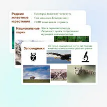 Презентация для начальной школы по предмету 