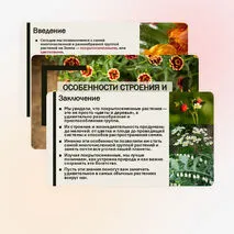 Презентация «Особенности строения и жизнедеятельности покрытосеменных растений»
