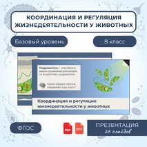 «Координация и регуляция жизнедеятельности у животных», 8 класс