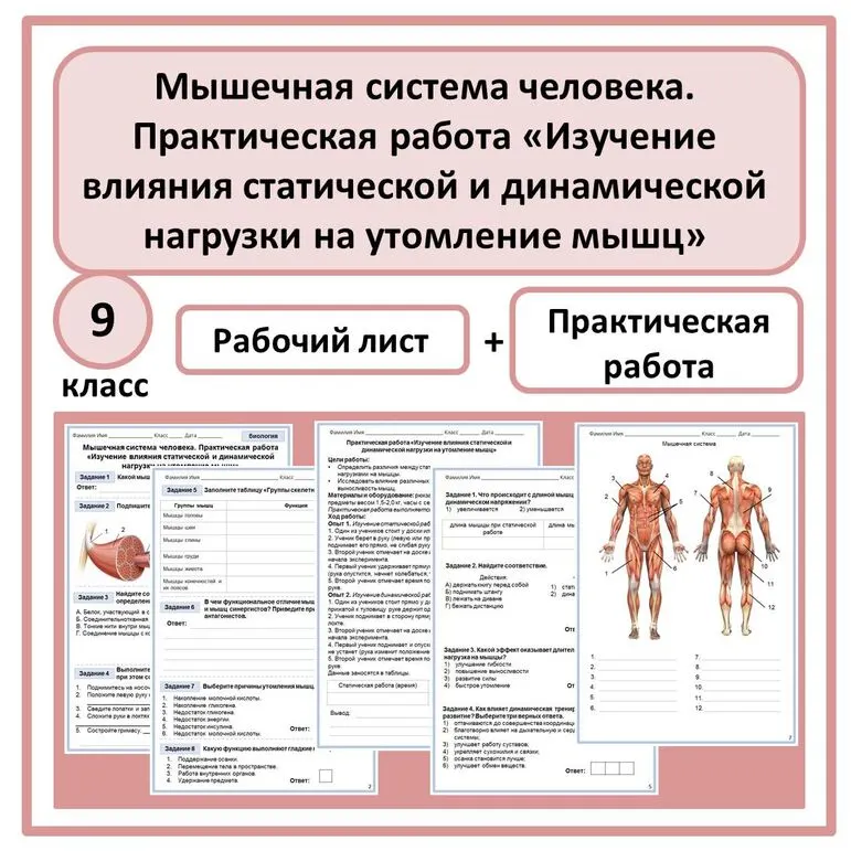 Комплект по биологии (рабочий лист + практическая работа) 