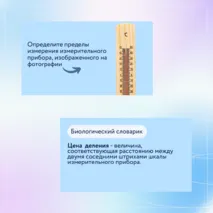 «Измерения в биологических исследованиях», 5 класс
