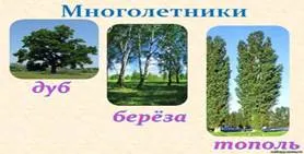 http://collegy.ucoz.ru/_ld/40/s79554108.jpg