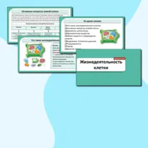 Презентация «Жизнедеятельность клетки». Биология 6 класс