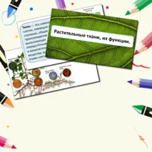 Презентация по теме: «Растительные ткани, их функции» + Лабораторная работа №3 «Изучение строения растительных тканей (использование микропрепаратов)».