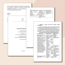 Рабочая программа по дисциплине 