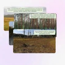 Презентация «Понятие о природном сообществе. Взаимосвязи организмов в природных сообществах», 5 класс