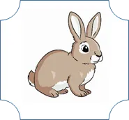 Picture background