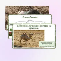 Презентация «Среды обитания организмов», 5 класс