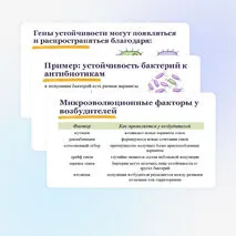 Презентация по биологии 