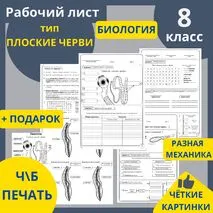 Рабочий лист по биологии на тему: 