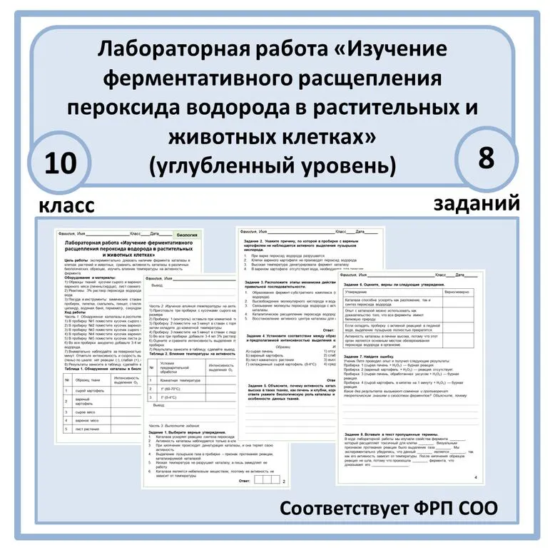 Лабораторная работа «Изучение ферментативного расщепления пероксида водорода в растительных и животных клетках» 10 класс (углубленный уровень)