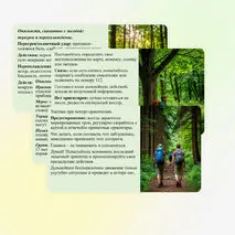 Презентация «Безопасность в природной среде: тактика действий». ОБЗР, 11 класс