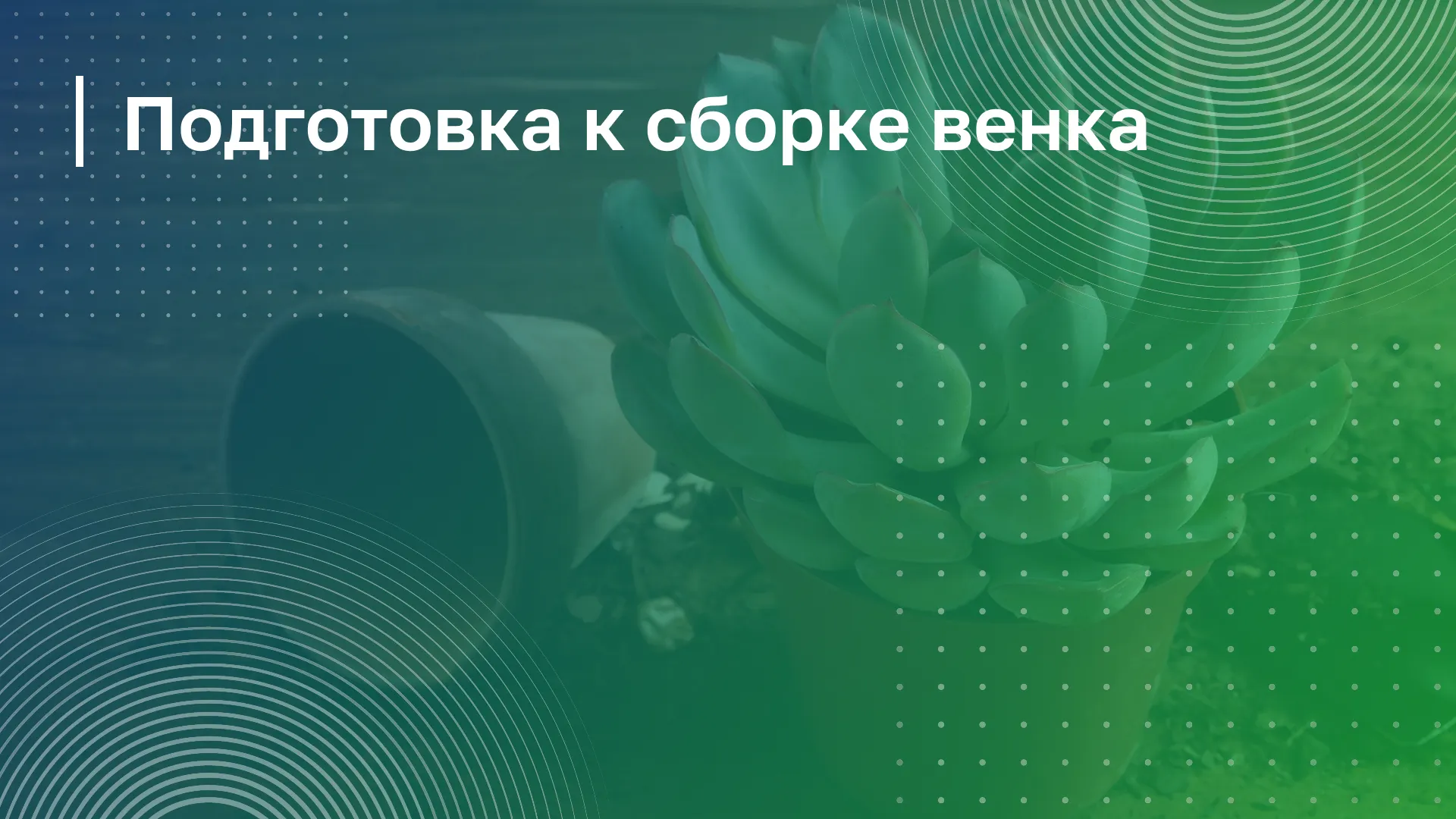 Обложка курса