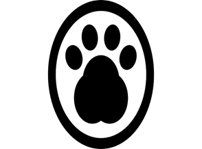 Picture background