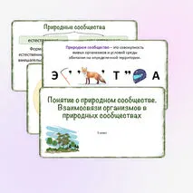 Презентация «Понятие о природном сообществе. Взаимосвязи организмов в природных сообществах», 5 класс