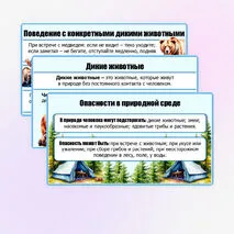 Презентация «Правила безопасного поведения в природной среде». ОБЗР. 9 класс