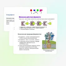 Презентация: 