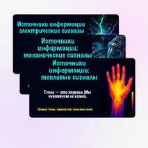 Презентация по информатике по теме «Информация и данные. Информационные процессы.»